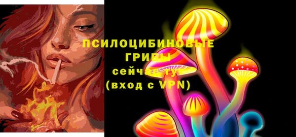 гашиш Новозыбков