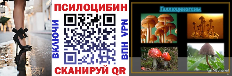 Галлюциногенные грибы мицелий  даркнет сайт  Починок 